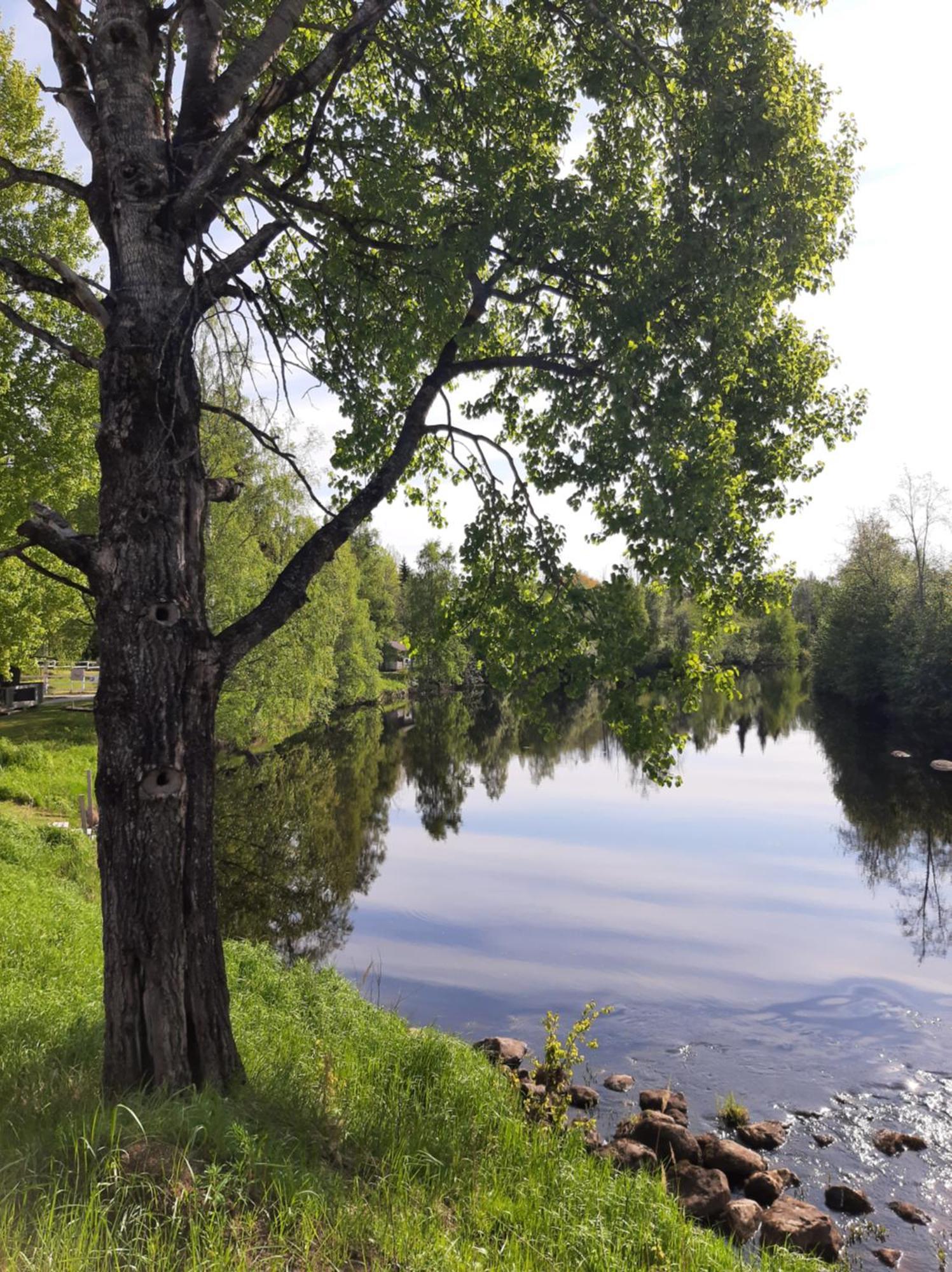 Huhtaniemen Moekkikylae Hotell Veteli Exteriör bild